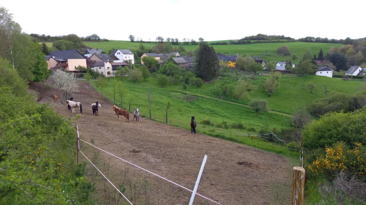 Ferienwohnung Lua Rorodt Esterno foto